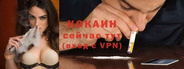 стаф Михайлов