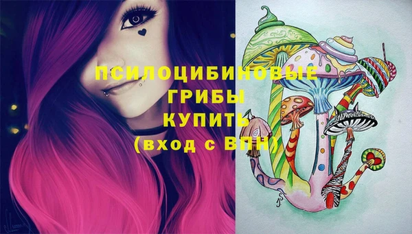 стаф Михайлов