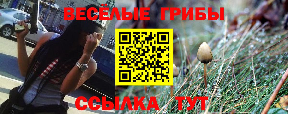 Галлюциногенные грибы мухоморы Боровичи